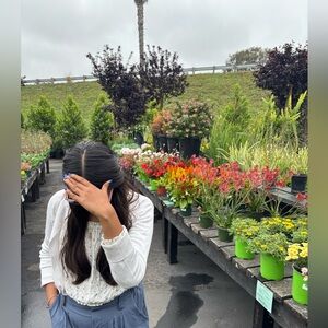 Announcement free item and discount  📣